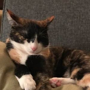 Meet your Posher, Pat